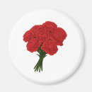 Search for carnations magnets Bouquet