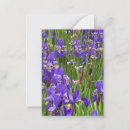 Search for iris flower note cards Irises