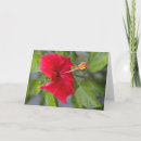 Search for louise cards Red