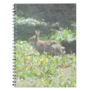 Search for wild notebooks Landscape