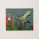 Search for male puzzles Fauna