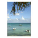 Search for indian ocean art Scenic