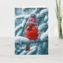 Search for red cardinal bird cards Wildlife