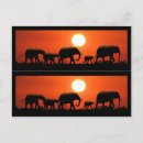 Search for elephant silhouette postcards Nature