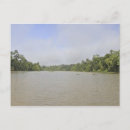 Search for borneo postcards Nature