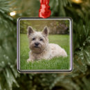 Search for cairn terrier christmas tree decorations Cute