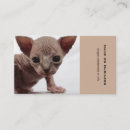 Search for breeds business cards Cute