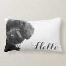 Search for poodle cushions Pets