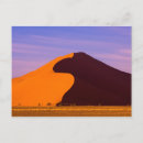 Search for namib postcards Scenic