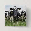 Search for cow badges Humour