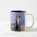 Search for wild stallion mugs Nature