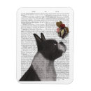 Search for boston magnets Terriers