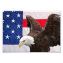 Search for american wildlife posters Birds of prey