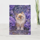 Search for flowers and cats cards Kitten