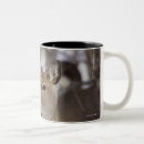 Search for hokkaido mugs Outdoors