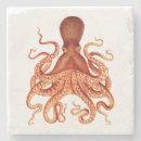 Search for octopus coasters Kraken