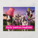 Search for funny cow invitations Silly