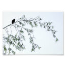 Search for bird silhouette art Branch