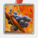 Search for napa valley christmas tree decorations Vineyard