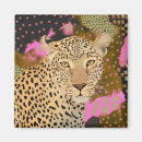 Search for leopard magnets Big cat