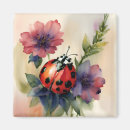 Search for ladybug magnets Bugs