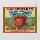 Search for colorado postcards Vintage