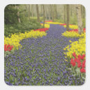Search for pathway stickers Bloom