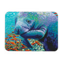 Search for manatee magnets Animal