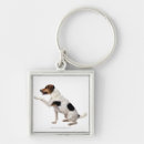 Search for jack russell terrier key rings Animal