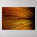 Search for macro leaf Nature