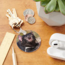 Search for tasmanian devils key rings Nature