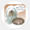 Search for beardie stickers Dog