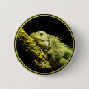 Search for lizards badges Iguana