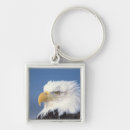 Search for bald eagle key rings Portrait