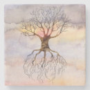 Search for beautiful tree sky coasters Colourful