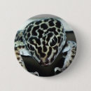 Search for gecko badges Reptile