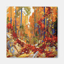 Search for birch tree magnets Woods