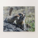 Search for ground squirrel Nature
