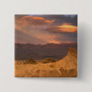 Search for arid badges California