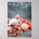 Search for smithsonian art Photography