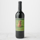 Search for labrador wine labels Pets