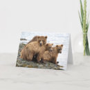 Search for grizzly cards Fishing