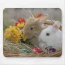 Search for egg basket electronics Flowers
