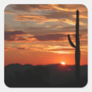 Search for arizona stickers Sunset