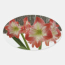 Search for amaryllis stickers Red