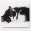 Search for down mousepads Cat