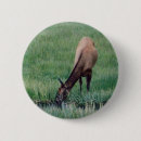Search for elks badges Nature