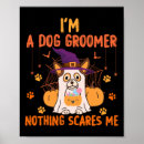 Search for groomer posters Cat