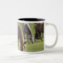 Search for canada coffee mugs Outdoors