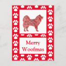 Search for samoyed dog postcards Cute
